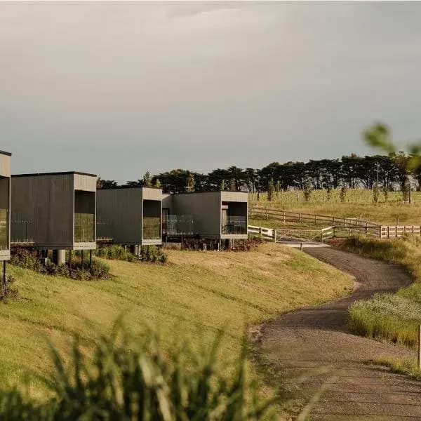 Clarkefield to Melbourne Airport (MEL) | Elevated Airport Transfer Experience