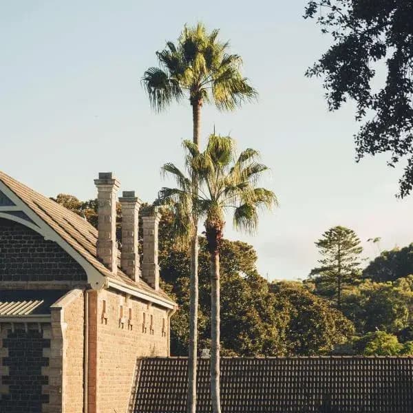 Kiama Downs to Sydney Airport (SYD) | Elevated Airport Transfer Experience