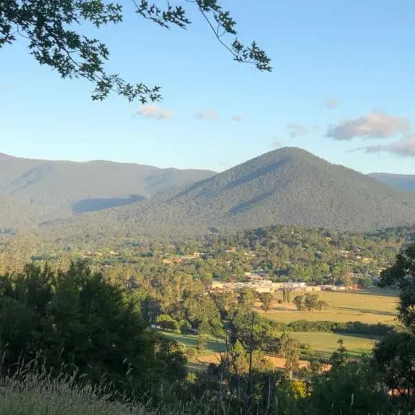 Healesville to Melbourne Airport (MEL) | Elevated Airport Transfer Experience