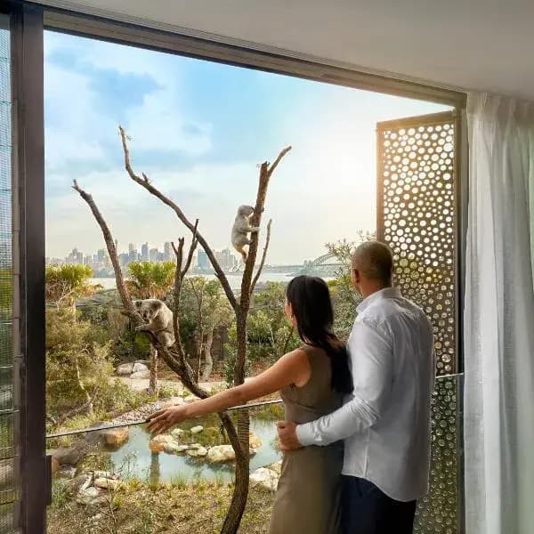 Spit Junction to Sydney Airport (SYD) | Elevated Airport Transfer Experience