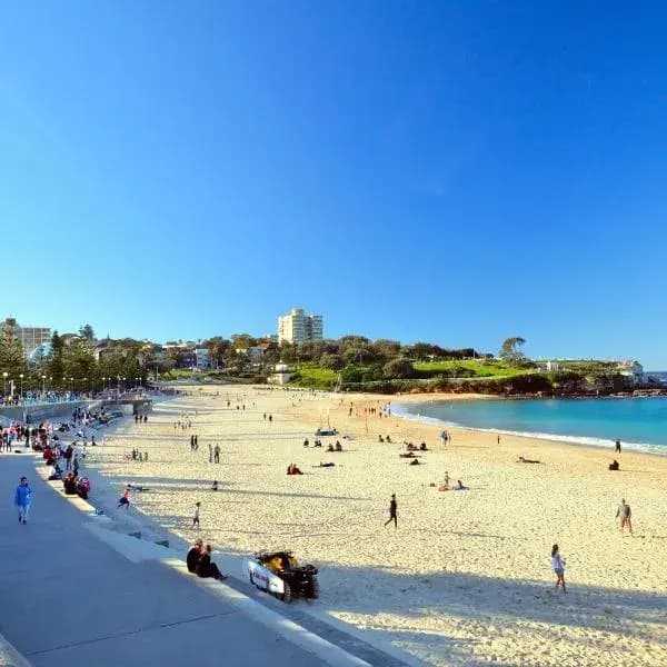 Matraville to Sydney Airport (SYD) | Elevated Airport Transfer Experience