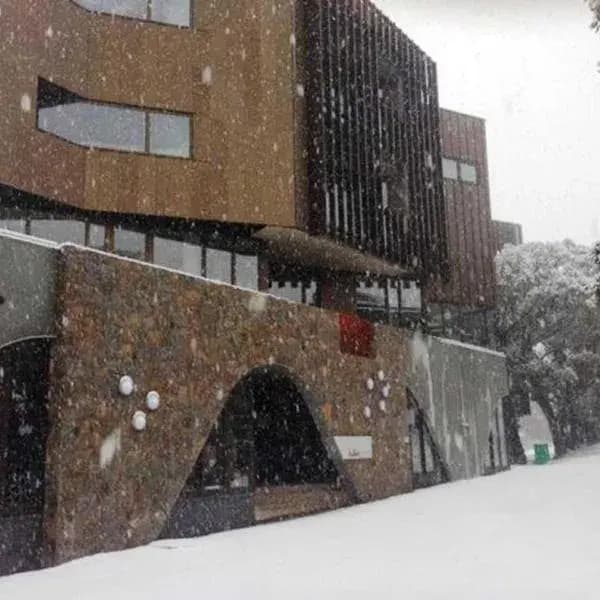 Mount Buller to Melbourne Airport (MEL) | Elevated Airport Transfer Experience