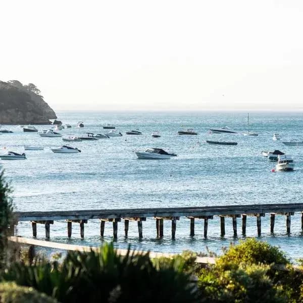 Sorrento to Melbourne Airport (MEL) | Elevated Airport Transfer Experience