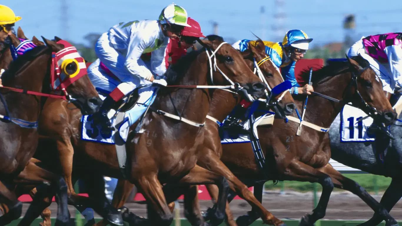 Melbourne Cup Chauffeur Car Service 2024: Travel in Luxury and Style