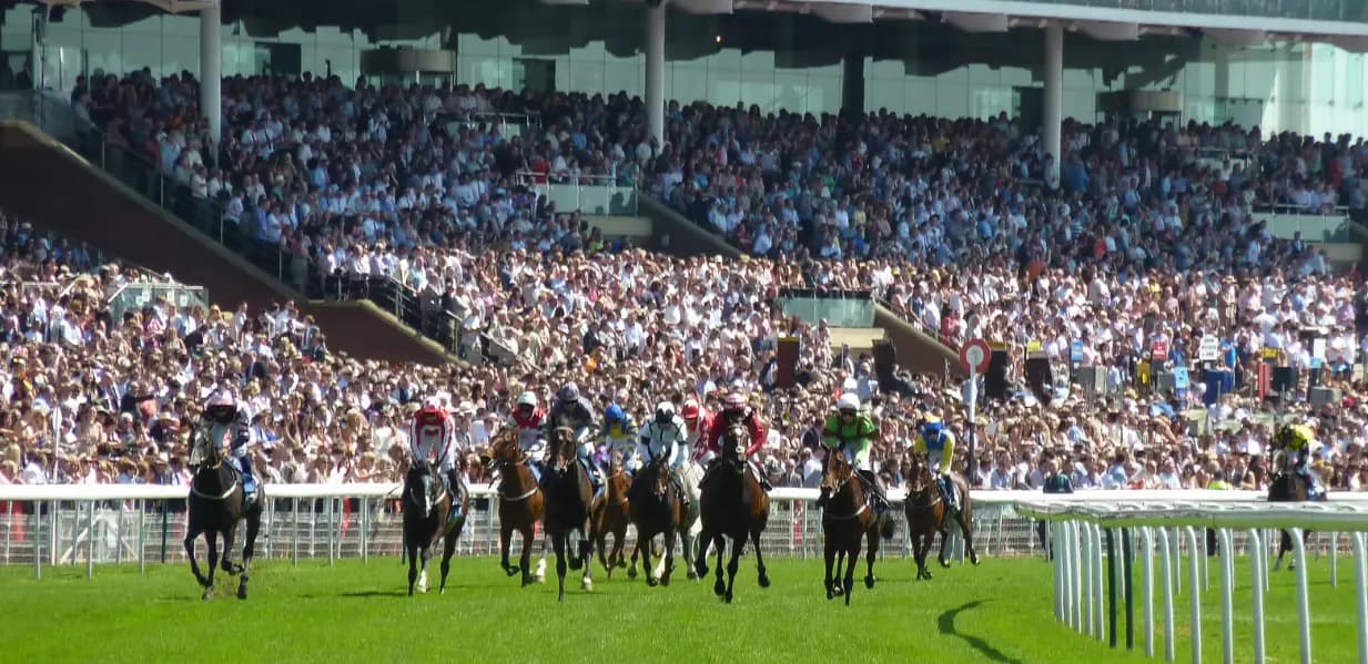 Melbourne Cup Chauffeur Car Service 2026: Travel in Luxury and Style