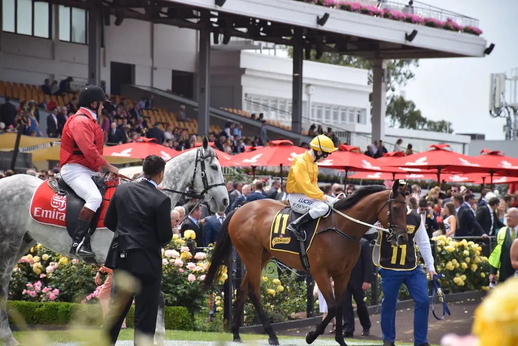 A Guide To Melbourne Cup Carnival 2024: Travel Stress-Free with MNMRiDEZ