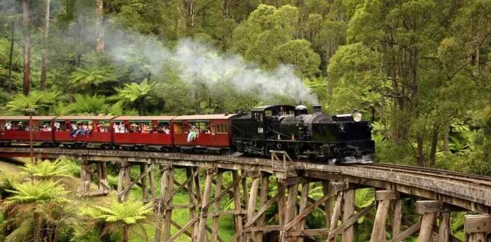 Enjoy Dandenong Ranges Tour Melbourne With mnmridez Chauffeur