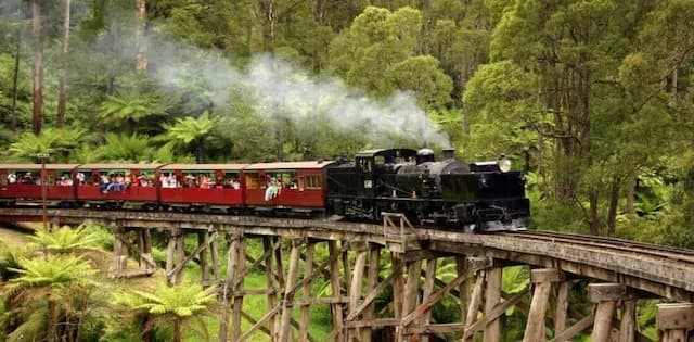 Dandenong Ranges Day Trip from Melbourne – Private Chauffeur Tour