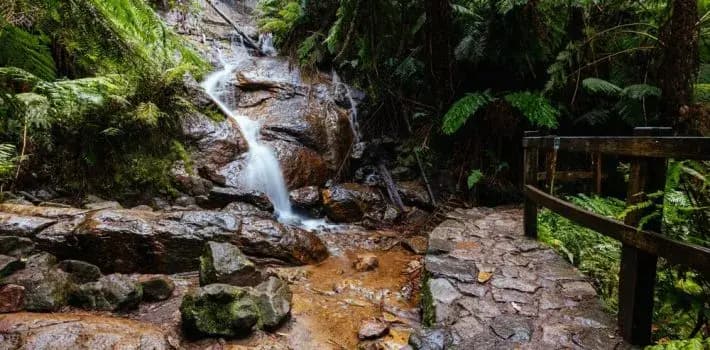 La La Falls: The Perfect Walk for Waterfall Lovers