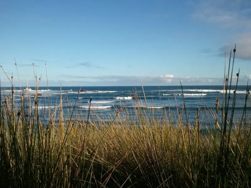 Phillip Island to Melbourne Airport (MEL) | Reliable Airport Transfer