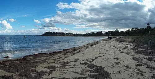 Wedding Car Hire in Balnarring Beach