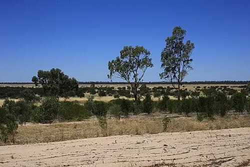 Albacutya to Melbourne Airport (MEL) | Reliable Airport Transfer