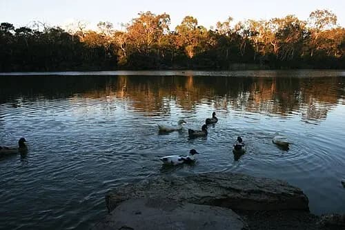 Blackburn to Melbourne Airport (MEL) | Reliable Airport Transfer