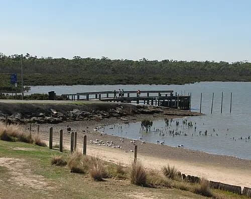 Blind Bight to Melbourne Airport (MEL) | Reliable Airport Transfer