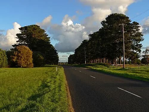 Boneo to Melbourne Airport (MEL) | Reliable Airport Transfer