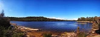 Allambie Heights to Sydney Airport (SYD) | Reliable Airport Transfer