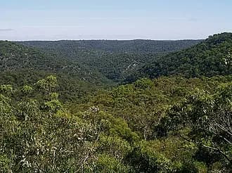 Berowra to Sydney Airport (SYD) | Reliable Airport Transfer