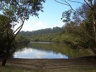 Bonnet Bay to Sydney Airport (SYD) | Reliable Airport Transfer