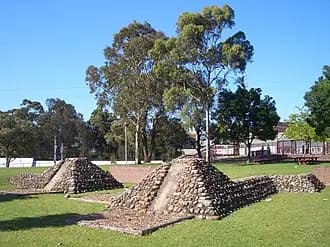 Chester Hill to Sydney Airport (SYD) | Reliable Airport Transfer