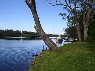 Dora Creek to Sydney Airport (SYD) | Reliable Airport Transfer