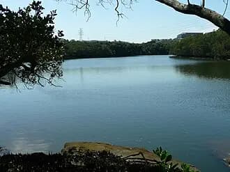 East Ryde to Sydney Airport (SYD) | Reliable Airport Transfer