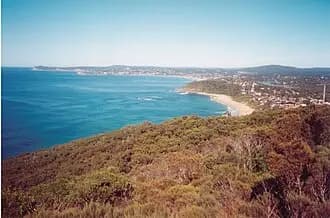 Forresters Beach to Sydney Airport (SYD) | Reliable Airport Transfer