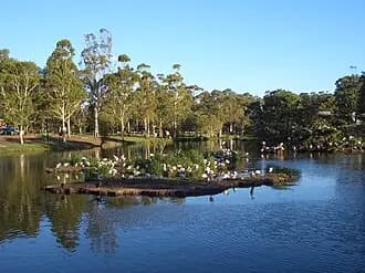 Georges Hall to Sydney Airport (SYD) | Reliable Airport Transfer