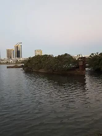 Homebush Bay to Sydney Airport (SYD) | Reliable Airport Transfer