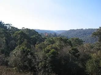 Hornsby Heights to Sydney Airport (SYD) | Reliable Airport Transfer