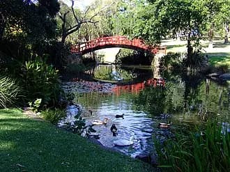 Keiraville to Sydney Airport (SYD) | Reliable Airport Transfer