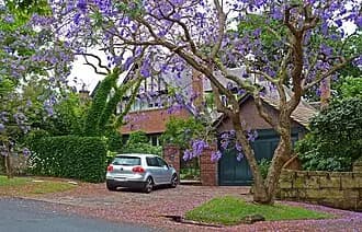 Killara to Sydney Airport (SYD) | Reliable Airport Transfer