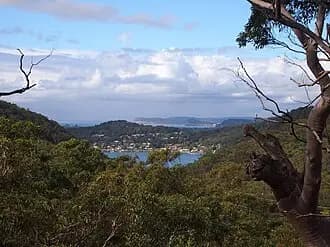 Koolewong to Sydney Airport (SYD) | Reliable Airport Transfer