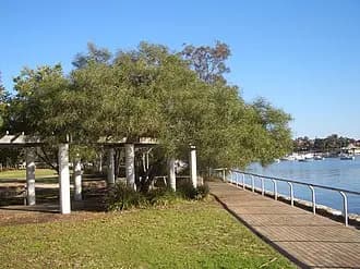 Lilyfield to Sydney Airport (SYD) | Reliable Airport Transfer