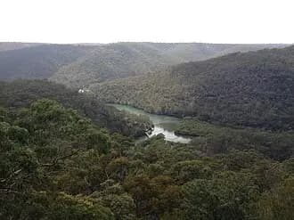 Mount Colah to Sydney Airport (SYD) | Reliable Airport Transfer