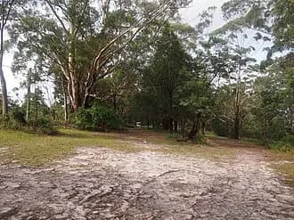 Mount Elliot to Sydney Airport (SYD) | Reliable Airport Transfer
