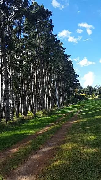Mount Irvine to Sydney Airport (SYD) | Reliable Airport Transfer