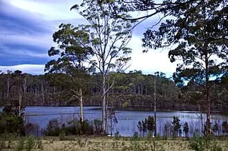 Mountain Lagoon to Sydney Airport (SYD) | Reliable Airport Transfer