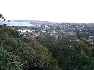 North Curl Curl to Sydney Airport (SYD) | Reliable Airport Transfer