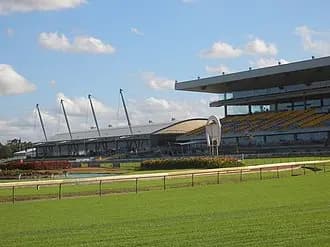 Rosehill to Sydney Airport (SYD) | Reliable Airport Transfer