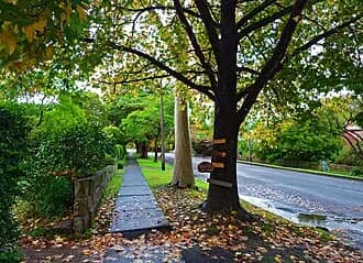 Roseville to Sydney Airport (SYD) | Reliable Airport Transfer