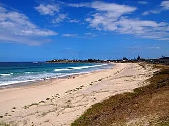 Warilla to Sydney Airport (SYD) | Reliable Airport Transfer