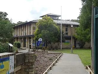 Willmot to Sydney Airport (SYD) | Reliable Airport Transfer