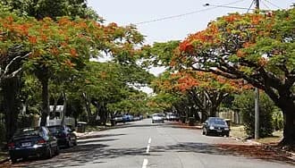 Ascot to Brisbane Airport | Reliable Airport Transfer