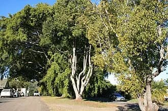 Beerburrum to Brisbane Airport (BNE) | Reliable Airport Transfer