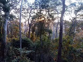 Binna Burra to Brisbane Airport (BNE) | Reliable Airport Transfer