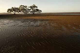 Boondall to Brisbane Airport (BNE) | Reliable Airport Transfer