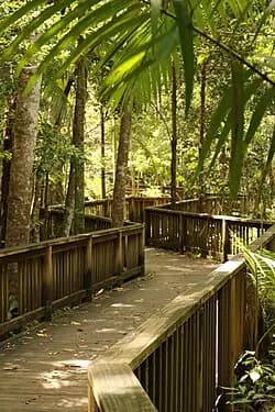 Buderim to Brisbane Airport (BNE) | Reliable Airport Transfer