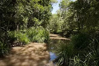 Burbank to Brisbane Airport (BNE) | Reliable Airport Transfer