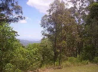 Camp Mountain to Brisbane Airport (BNE) | Reliable Airport Transfer