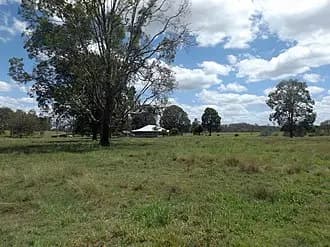 Cedar Vale to Brisbane Airport (BNE) | Reliable Airport Transfer